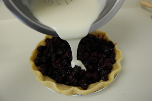 Blackberry Sour Cream Pie